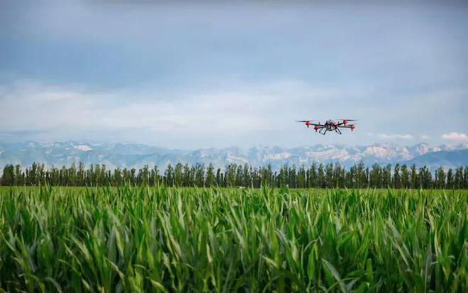 數(shù)字農(nóng)業(yè)迎來政策紅利！未來布局如何抓住趨勢與路徑、機(jī)會